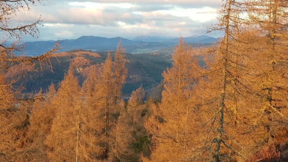 Slideshow 5 - Slide 9